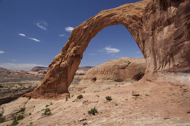 221 Corona Arch.jpg